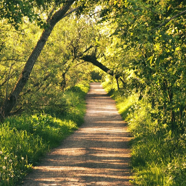May 2024 - Höjeådalen
